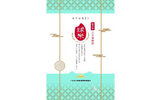 FKP9-682 【令和7年度産】球磨産白米 ひのひかり・くまさんの輝き各5kg 新米 白米 精米 ふっくら 国産米 おすすめ 農家