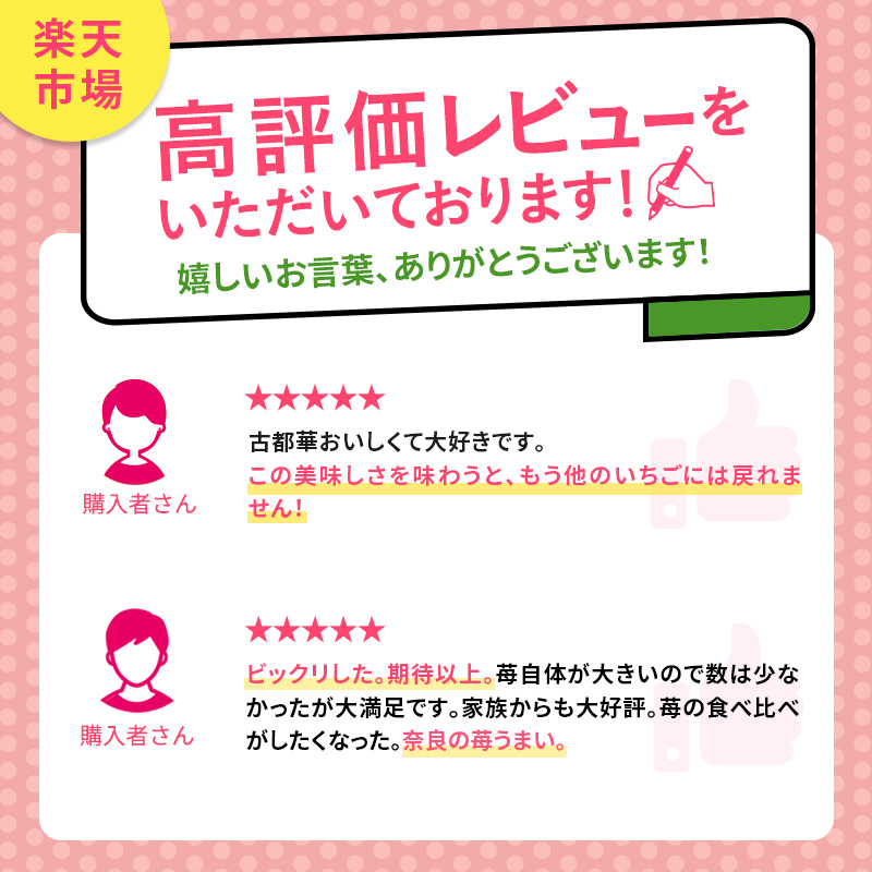 いちご 奈良県産 古都華 約540g 270g×2パック 高評価 冷蔵配送 フルーツ 果物 旬 産地直送 農家直送 完熟 旬の果物 お取り寄せ おやつ デザート ことか イチゴ 冷蔵 奈良 大和郡山市