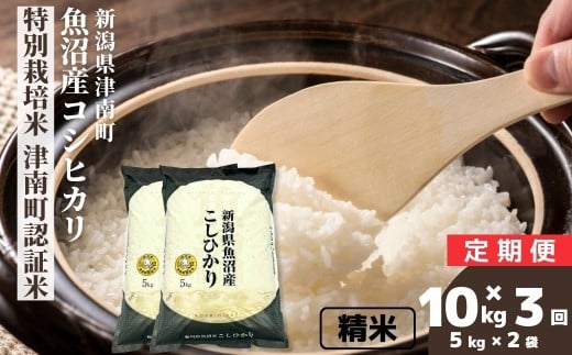 【3ヶ月定期便】【令和7年産】米 10kg (5kg×2袋） 魚沼産 コシヒカリ 特別栽培米 津南町認証米 | こしひかり お米 おこめ こめ コメ ご飯 ごはん 白米 精米 ブランド米 おすすめ 人気 ギフト プレゼント 新潟県 津南町