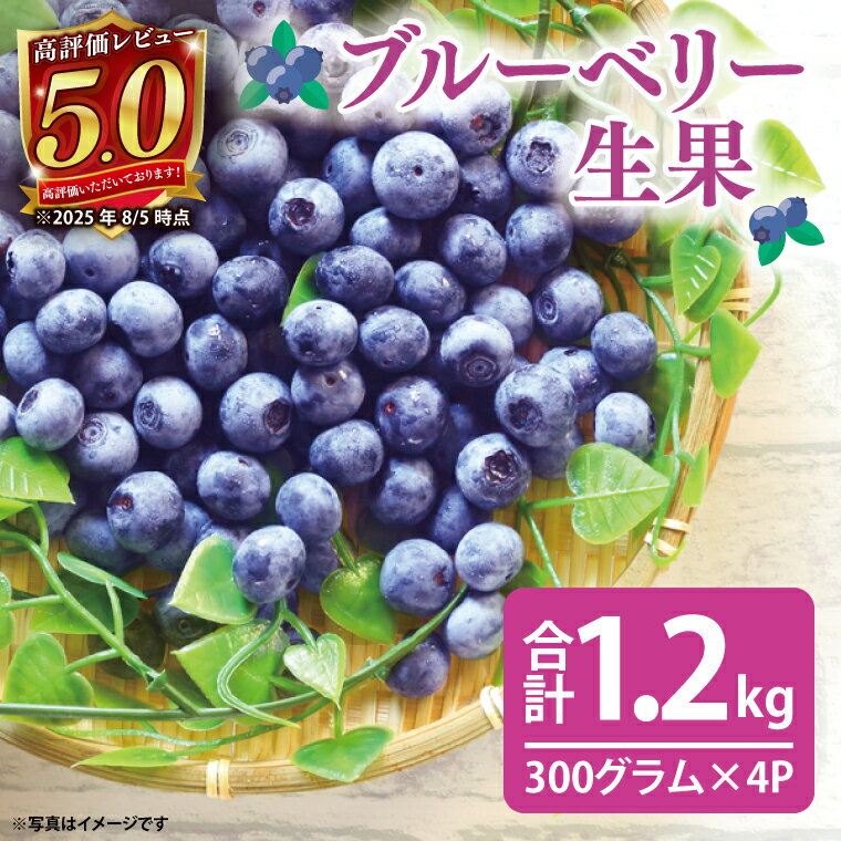 【ふるさと納税】【先行予約】完熟ブルーベリー1.2kg（300g×4パック）【2025年6月下旬ころから順次発送予定】(19-01-1)