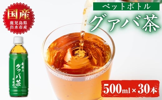 i1137-B グァバ茶PET(神秘也)500ml×30本 お茶 茶 国産 グァバ葉 ノンカフェイン ポリフェノール 血糖値 コレステロール ペットボトル 【出水酒造 izumi-syuzou】