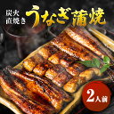 【ふるさと納税】うなぎ 2人前 河津大川屋うなぎ 炭火直焼き蒲焼 蒲焼き 老舗 ウナギ 鰻 関西風 魚 魚介 魚介類 和食 惣菜 静岡 うなぎ 　 河津町