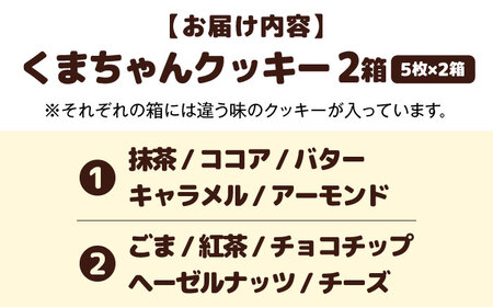 くまちゃんクッキー10枚（5枚×2箱）[AQAB007] クッキー クッキー クッキー クッキー