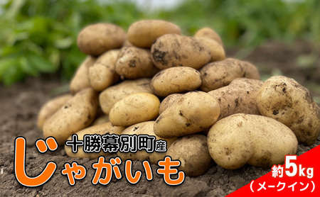先行予約 じゃがいも 約5kg メークイン じゃがいも