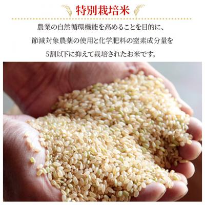 ふるさと納税 赤磐市 お米 特別栽培米 きぬむすめ 4kg 3ヵ月定期便 合計12kg [NO5765-1409] |  | 02