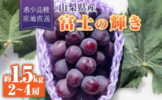 【2026年発送】富士の輝き1房約1.5kg(2～4房)【配送不可地域：離島】