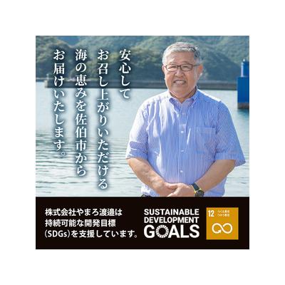ふるさと納税 佐伯市 中骨なし開き3種詰め合わせ (16尾・3種:隔月3回) |  | 03