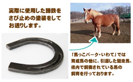 蹄鉄 （ 鉄製 原色 ）& 専用台 セット 【馬っこパーク・いわて】／ 馬蹄 てい鉄 さび止め 錆止め サビ止め 鉄 ナチュラル 加工 幸運 開運 厄除け 魔除け アイテム 本物 インテリア アクセサ