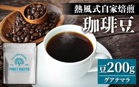 【完全受注焙煎】Tree Coffee Roasters「グアテマラ エスエイチビー カフェピューマ ハイロースト」 200g - コーヒー 豆 自家焙煎 熱風式焙煎 贈り物