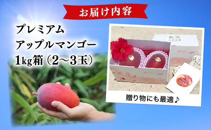【2026年夏発送】【先行予約】プレミアム アップルマンゴー！1kg箱(2〜3玉)