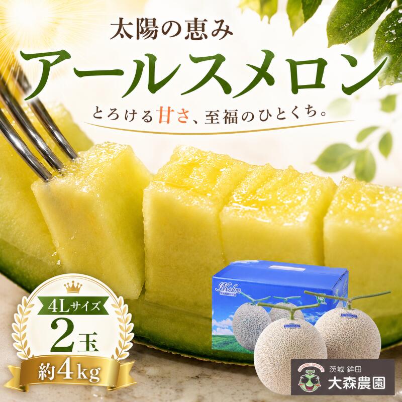 【ふるさと納税】 メロン めろん 茨城 2026年発送 2玉 約4kg 果物 くだもの フルーツ 果実 青肉 青肉メロン 4Lサイズ 2個 国産 アールスメロン あーるすめろん meron melon 旬 デザート 産地直送 期間限定 プレゼント ギフト 贈り物 太陽の恵み 茨城県 鉾田市 大森農園