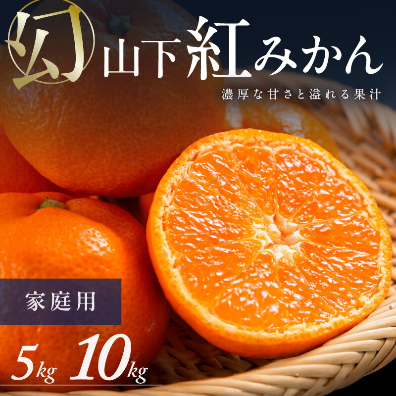 【ふるさと納税】【数量限定】辻本農園 訳あり 山下紅みかん 家庭用 5kg 10kg │ フルーツ 果物 柑橘 みかん 紅みかん 山下紅みかん 温州みかん 訳あり キズあり 甘い 高級 数量限定 冬 旬