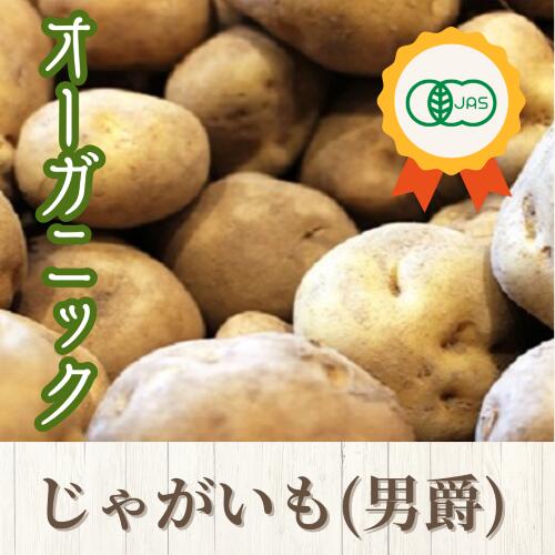 【ふるさと納税】【2025年発送】【JAS認定】オーガニックじゃがいも（男爵）10kg