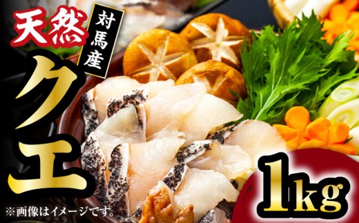 【 対馬産 】 天然 クエ 1kg（500g×2）（切り身）《対馬市》【石川水産】 鍋 水炊き 鮮度抜群 海鮮 [WAB011] なべ くえ 鍋セット 海の幸 クエ 下処理 冷凍 新鮮 小分け 海産物 からあげ 天ぷら てんぷら 煮付け