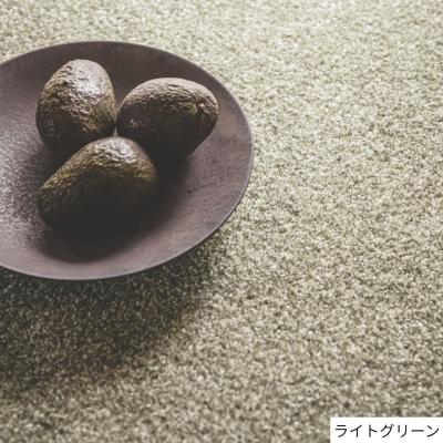 ふるさと納税 八尾市 (ライトグリーン・200×250cm) 防虫・防ダニ・防カビ・抗菌のマルチ機能無地ラグ(H146) |  | 03