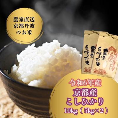 ふるさと納税 南丹市 【令和7年産米】京都府産こしひかり10kg(5kg×2袋)農家直送 出荷日に合わせて精米