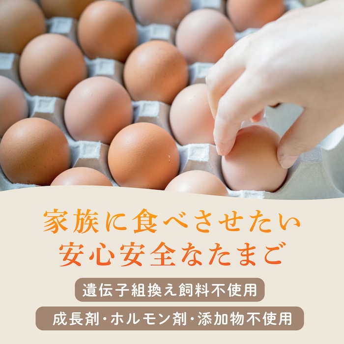 【家族に食べさせたい】平飼い 山もりたまご 20個 安心安全 おいしさに感動 たまご 卵 高級卵 平飼い 安心安全 飼料にこだわり 成長剤 ホルモン剤 添加物不使用