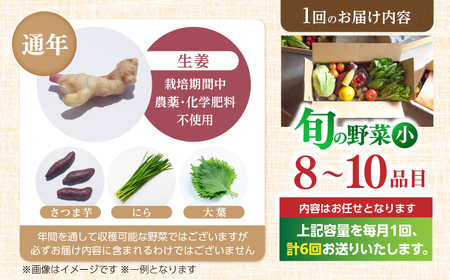 定期便 土佐の太陽をいっぱいに浴びた旬の野菜セット小 (6回配送) / 野菜 やさい 定期便 6回 セット 詰め合わせ 朝採れ 新鮮 旬 無農薬 レシピ 冷蔵 高知 土佐 【土佐野菜】 [ATBA00