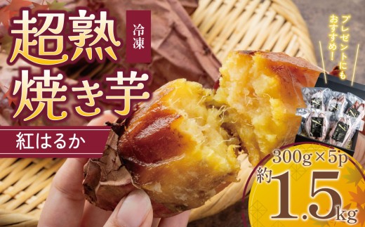 【先行予約】冷凍 100日熟成紅はるか 焼きいもギフトBOX 約1500g ( 約300g × 5P ) │ 紅はるか 焼き芋 1.5kg 冷凍 やきいも 焼芋 さつまいも サツマイモ おやつ スイーツ デザート 茨城県 つくば市