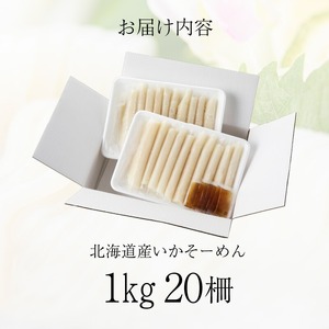 いかそーめん[6283701]