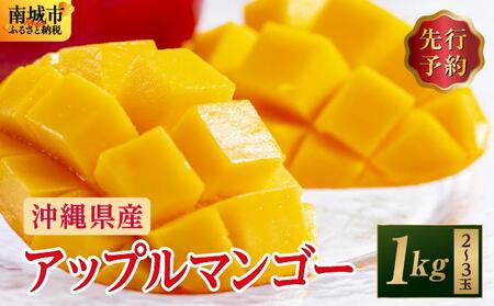 (先行受付)【2026年発送】アップルマンゴー 南城市 約1kg (2～3玉)
