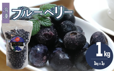 【ふるさと納税】＜ブルーベリー 冷凍　1kg＞ フルーツ くだもの 高知県 佐川町 果物 島崎商事【冷凍】冷凍ブルーベリー 常備果物＜4～6ヶ月程度で発送＞