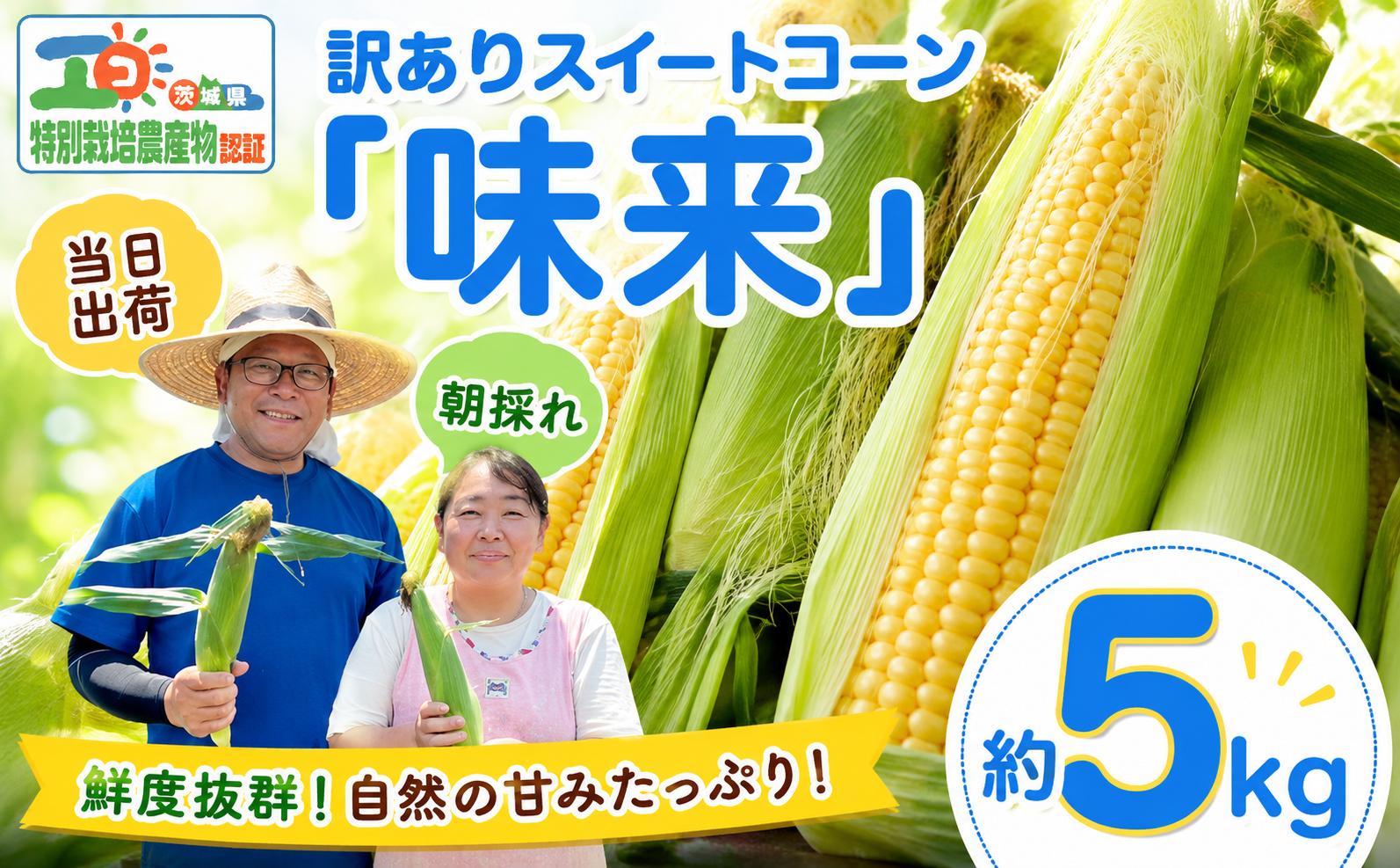 
                  訳あり とうもろこし 約5kg （味来） 朝もぎ スイートコーン わけあり 【6月上旬以降発送】 とうもろこし トウモロコシ トウキビ とうきび  コーン toumorokoshi 茨城県産 新鮮 甘い 糖度 朝どれ 朝採れ 甘い みらい 野菜 採れたて レンチン 冷蔵 夏野菜 極甘 旬 産地直送 関東 茨城 筑西市
                