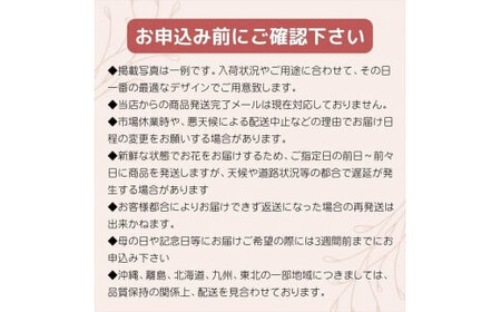 赤バラの花束 36本「ロマンチックな瞬間」【記念日に届くお花 36本 世界らん展 フラワードリームジャパンカップ 国内主要コンテスト受賞 贈り物 メッセージフラワー 神奈川県 小田原市 】