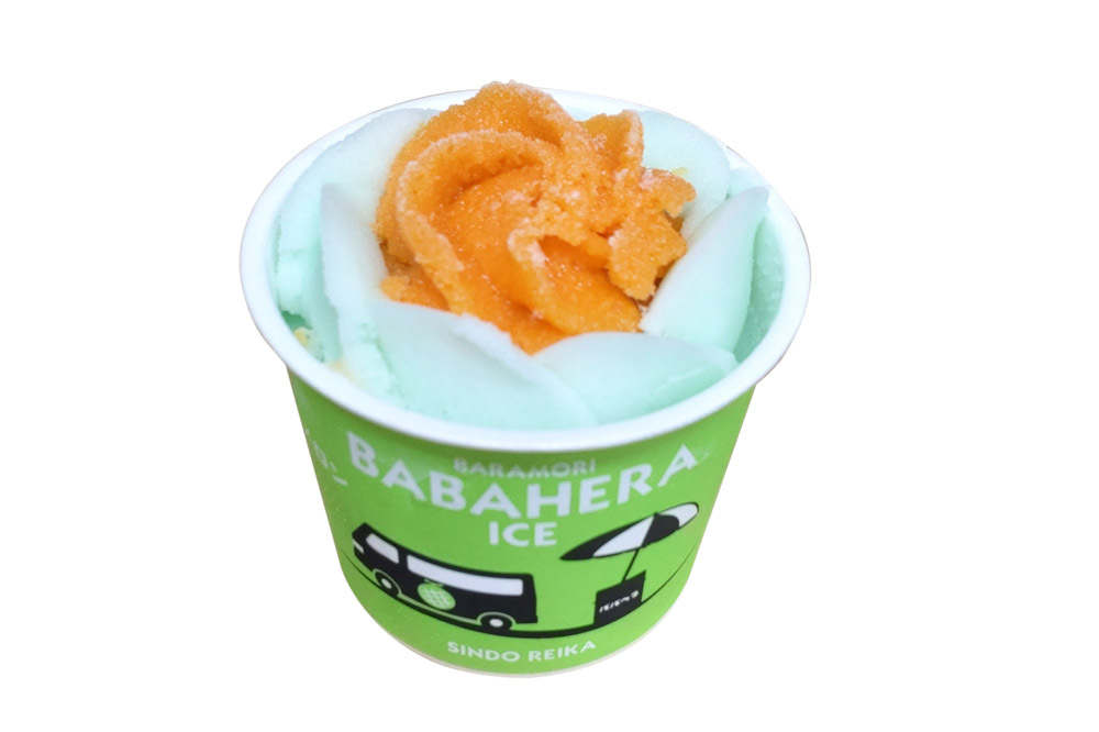 バラ盛りカップ6個＆メロンバラ盛りカップ6個（12個）セット【進藤冷菓】 ご当地アイス