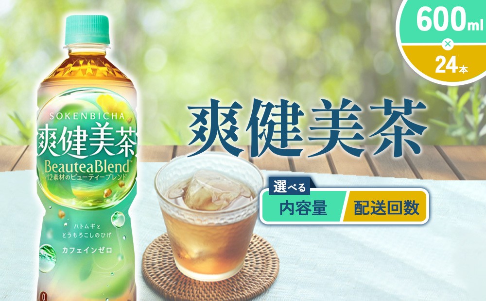 
            【本数/発送回数 選べる】爽健美茶 600ml PET【コカ・コーラ】ペットボトル 1ケース(24本) 2ケース(48本) 定期便 2回(48本 96本)3回(72本 144本) セット お茶 カフェインゼロ ノンカフェイン ハトムギ ブレンド茶 宮崎県 えびの市 送料無料
          