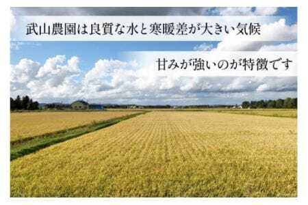 【北海道で一番食べられているお米】 令和5年 米 ななつぼし 5合(750g)【郵便受けにお届け】[武山農園 北海道 剣淵町 14656217]