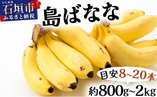 
                  石垣島産 プレミアム島ばなな ＜選べる容量＞＜2025年発送＞＜2026年発送 先行予約＞1房丸ごとお届け！！ 800g～2kg（約8～20本）
                