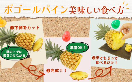 《2025年5月上旬頃より順次発送》【予約受付】石垣島産 ボゴールパイン 2～3個セット 約2㎏【産地直送 石垣島産 石垣 完熟 パイン パイナップル スナックパイン ボゴール 】TD-2