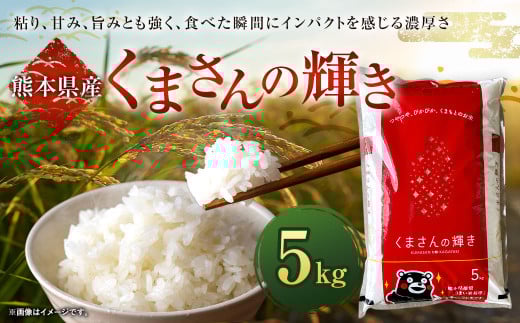 【 令和7年産 】 くまさんの輝き 5kg × 1袋 お米 白米 【2026年9月下旬迄発送予定】