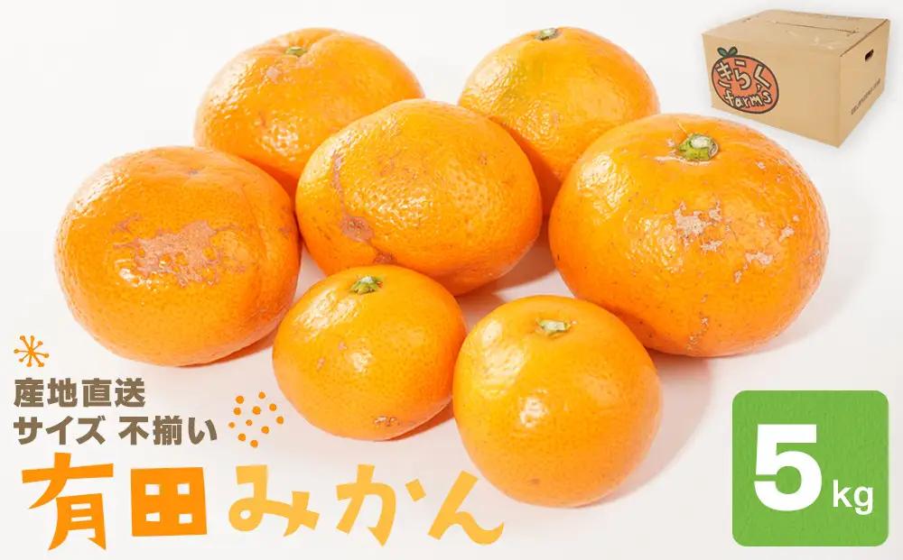 産地直送 有田みかん サイズ 不揃い 約5kg 喜楽farms 【2026年11月以降順次発送】