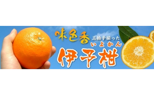 伊予柑(いよかん) 約5kg/サイズおまかせ　※2027年1月中旬〜2027年2月中旬頃に順次発送予定(お届け日指定不可)　紀伊国屋文左衛門本舗　【kstb441B】