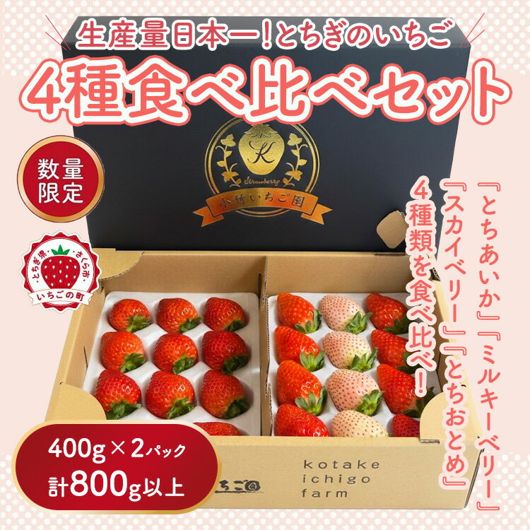 【ふるさと納税】《数量限定》大満足4種食べ比べセット（とちおとめ、ミルキーベリー、とちあいか、スカイベリー）400g×2パック 800g ｜いちご イチゴ 苺 先行予約 栃木県 果物 くだもの フルーツ 新鮮 贈答 ギフト 高級 食べ比べ ※2026年2月上旬～4月中旬頃に順次発送予定