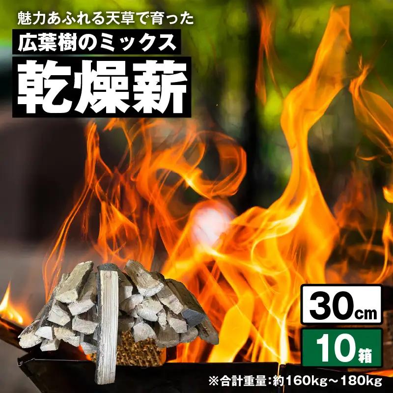 S163-016_魅力あふれる天草で育った広葉樹のミックス乾燥薪（30㎝）
