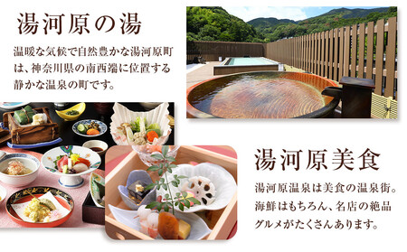 湯河原温泉ふるさと納税「宿泊ギフト券」 120,000円分