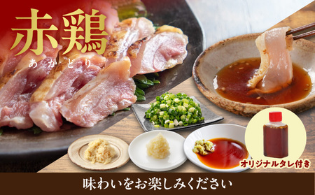 【たしろ屋】3種の鶏肉たたき食べ比べ6Pセット_AC-99-002-6P_(都城市) 都城産キジ肉 みやざき地頭鶏 国産赤鶏 鶏刺し たたき 真空パック 部位のバランスはお任せ たたきのタレ同梱 食べ
