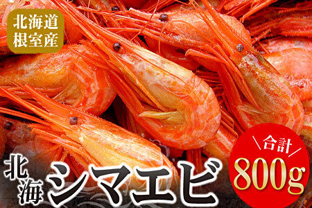 【北海道根室産】北海シマエビ800g(80～130尾) A-56014