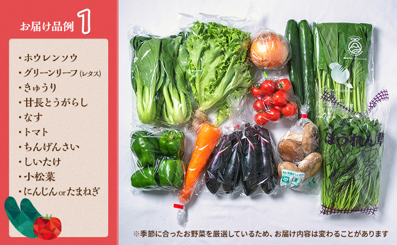 とれたて 野菜 パック 定期便 12回 季節の野菜 セット 詰め合わせ 10品前後 野菜セット 野菜詰め合わせ 12ヶ月 ジャガイモ 人参 大根 小松菜 白ネギ グリ?ンリ?フ チンゲン菜 椎茸 トマ