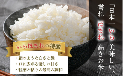 【令和7年産】定期便3回 いちほまれ 精米 2kg×3袋×3回（計18kg）《お米マイスターが発送直前に精米！》／ 福井県産 ブランド米 ご飯 白米 新鮮 [aw064-f006] 