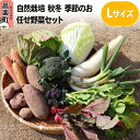 【ふるさと納税】自然栽培 秋冬 季節のお任せ野菜セット Lサイズ