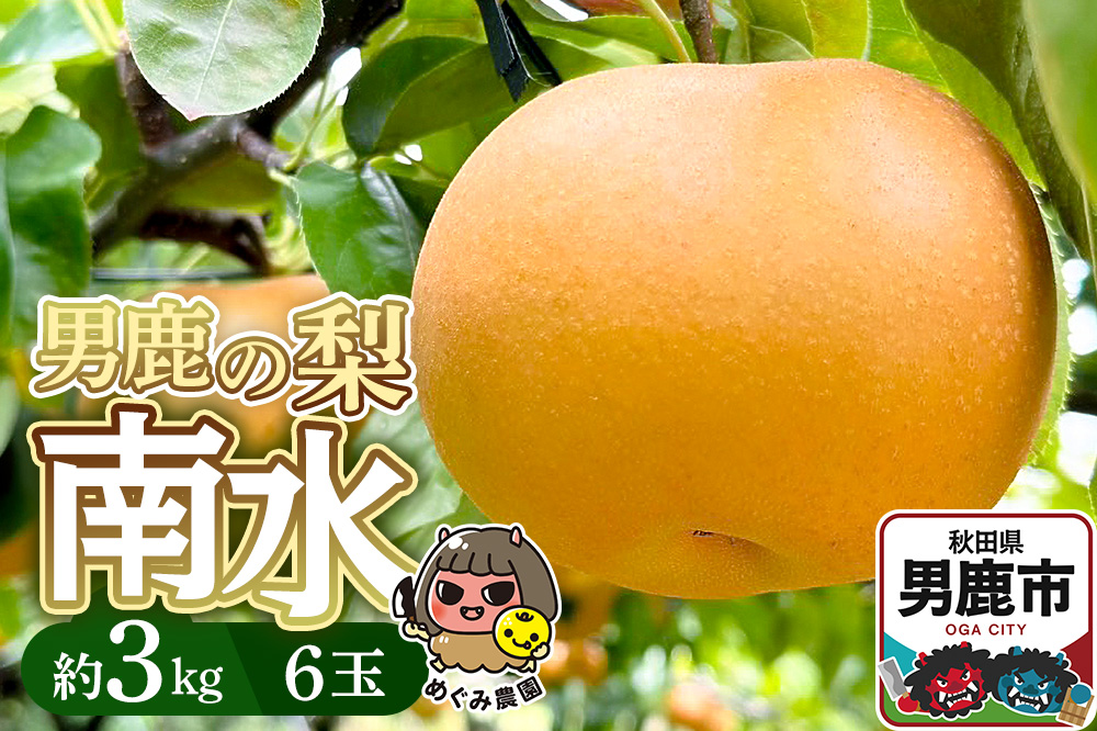 《先行受付》男鹿の梨 南水 約3kg 6玉 梨 秋田県 男鹿市 ＜めぐみ農園＞ 2026年9月下旬より発送