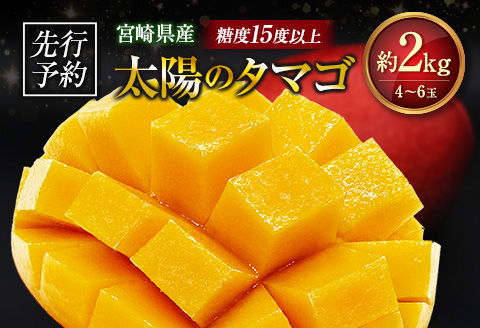 ≪先行予約≫ 宮崎県産 完熟マンゴー「太陽のタマゴ」約2kg 計4～6玉 2026年発送 ブランド 南国 トロピカル フルーツ 果物 くだもの 化粧箱入り