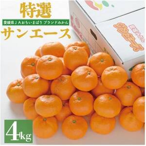 【先行予約】特選温州みかん　サンエース4kg　2L～S　JA選果品【1644263】