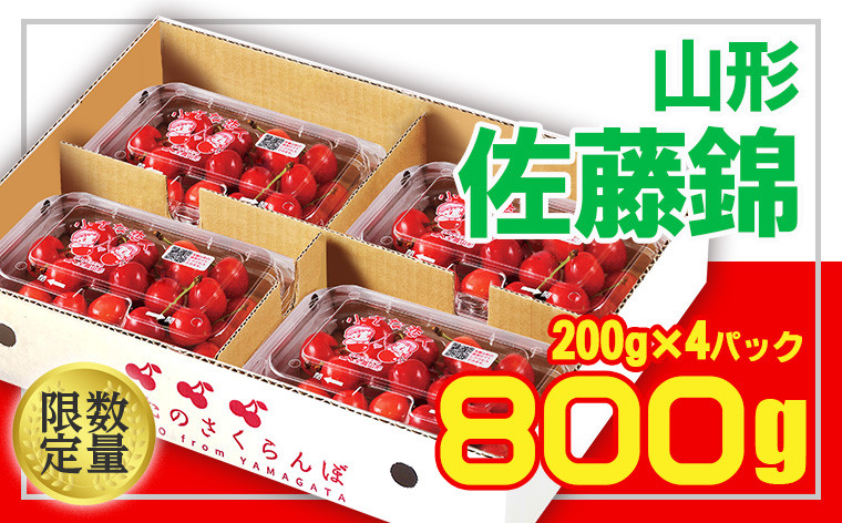 
            ★山形産 さくらんぼ 佐藤錦★L 800g(200g×4) 【令和7年産先行予約】FU21-093 くだもの 果物 フルーツ 山形 山形県 山形市 2025年産
          