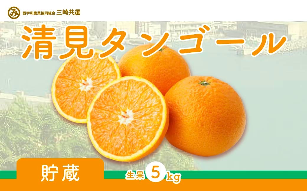 【先行予約】清見タンゴール（貯蔵・生果5kg）※離島への配送不可（2026年4月下旬より順次発送予定） IKTBD007