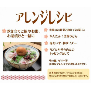 紀州南高梅しそプレミアム塩分約6%(500g)【1584261】